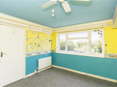 Picture 13
